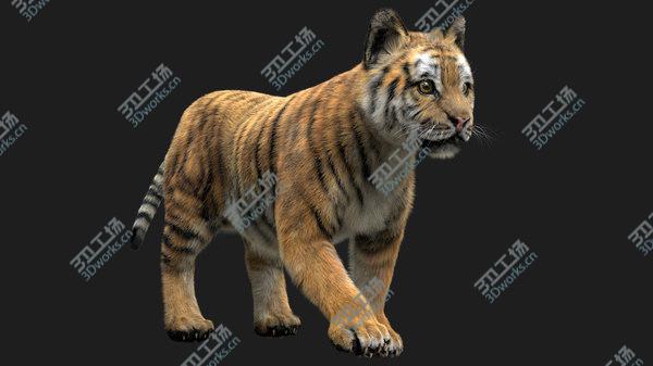 images/goods_img/20210312/TigerBaby Fur 3D model/2.jpg